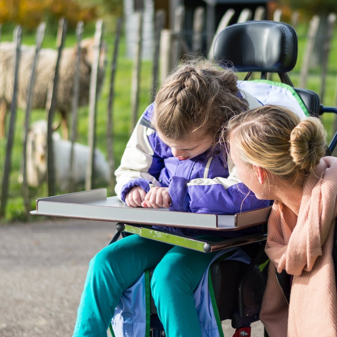 Empowering Education: NDIS Before and After School Care